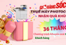 Cho thuê máy PHOTO giá rẻ 800k Ở Tiền Giang