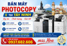 Cung cấp máy photocopy tận nơi trãng bàng